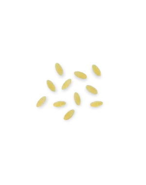 La Pasta di Camerino Puntine 500g