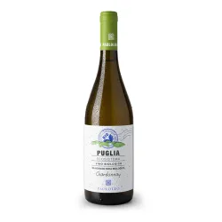Paololeo Ecosistema Chardonnay Puglia Bio I.G.P. 0,75l thumbnail-1