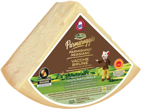 GranTerre Parmigiano Regiano DOP Vacche Brune 24 mesačný 4,5kg