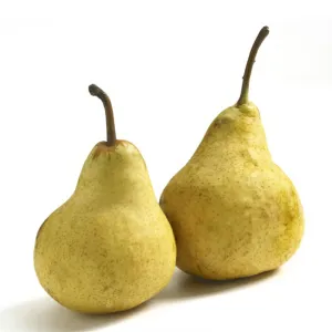 L’orto Prime biele hrušky Williams 1ks