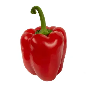 L’orto Prime gigantické červene papriky 1ks