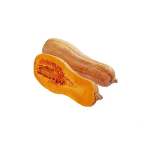 L’orto Prime tekvica Violino 1ks