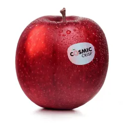 L'orto Prime chrumkavé červené jablká Cosmic Crisp 1kg thumbnail-1