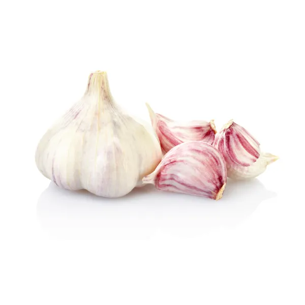 L’orto Prime zväzok cesnaku 1ks