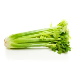 L’orto Prime stopkový zeler 1ks thumbnail-1