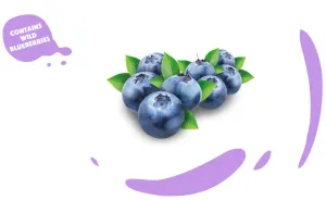 Yoga džús z čučoriedky 200ml