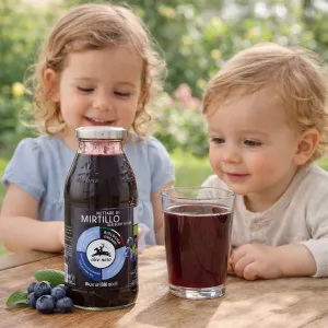 Alce Nero Bio čučoriedkový nektár 500ml