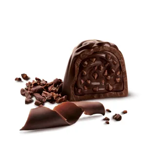 Witor´s pralinky z tmavej čokolády s kakaovou krémovou plnkou a kúskami karamelizovaných kakaových bôbov 200g