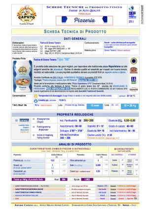 POŠKODENÝ OBAL Caputo talianska múka Pizzeria "00" 25kg