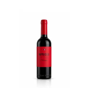 Domini Veneti Valpolicella Classico DOC 0,375l - 1ks