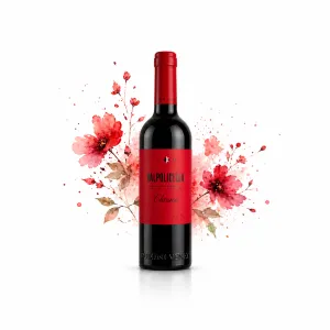 Domini Veneti Valpolicella Classico DOC 0,375l - 1ks