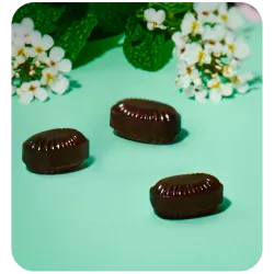 Sperlari Club Forte tvrdé cukríky s mentolom a eukalyptom 200g thumbnail-3