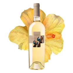 Schola Sarmenti Candóra Chardonnay Salento IGT 0,75l thumbnail-1