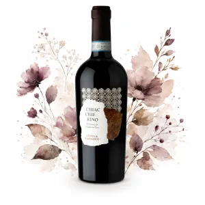 Schola Sarmenti Chiacchierino Primitivo di Manduria DOC 0,75l