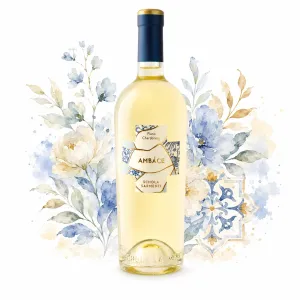 Schola Sarmenti Ambàce Fiano e Chardonay 0,75l
