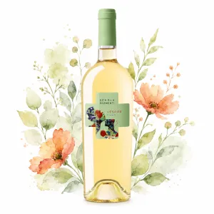 Schola Sarmenti Vespre Fiano IGT 0,75l