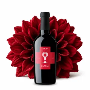 Schola Sarmenti Corimei Primitivo Salento IGT 0,5 l