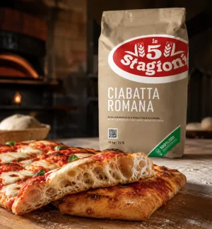 5 Stagioni talianska pizzová zmes Ciabata Romana 10kg