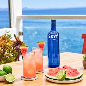 Skyy vodka 0,7l