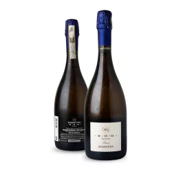 Masottina R.D.O Ponente Prosecco Rive di Ogliano Brut DOCG 0,75l thumbnail-3