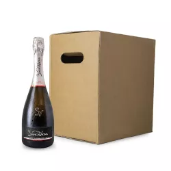 BiancaVigna Conegliano Valdobbiadene Prosecco Rive di Soligo Millesimato Extra Brut DOCG 0,75l 6ks thumbnail-1