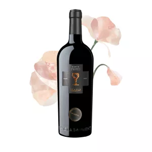 Schola Sarmenti Nerìo Nardò Riserva DOC 0,75l - 1ks