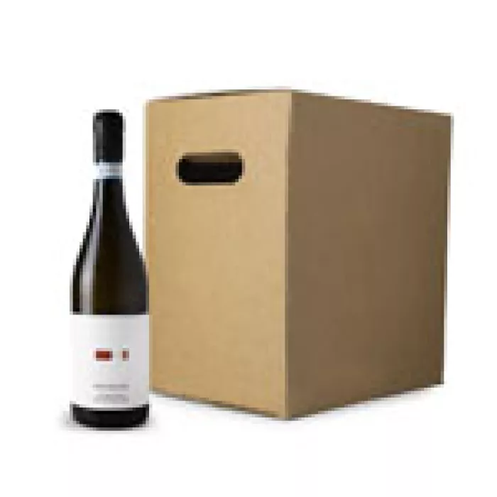 Corvezzo Saggezza Manzoni Bianco Piave DOC 0,75l 6ks Corvezzo Saggezza Manzoni Bianco Piave DOC 0,75l 6ks