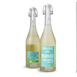 Villa Teresa Organic Wine Bianco Frizzante Nave de Oro 0,75l thumbnail-2