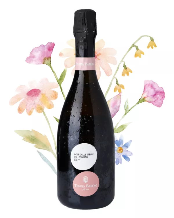 Tenuta Baron Rosè Delle Stelle Millesimato Brut 0,75l - 1ks