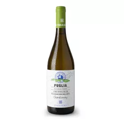 Paololeo Ecosistema Chardonnay Puglia Bio I.G.P. 0,75l thumbnail-1