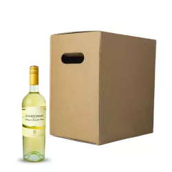 Paololeo Chardonnay Salento IGP 0,75l 6ks thumbnail-1