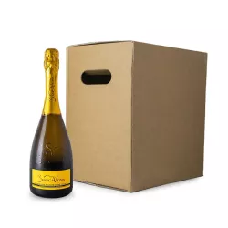 BiancaVigna Conegliano Valdobbiadene Prosecco Millesimato Extra Dry DOCG 0,75l 6ks thumbnail-1