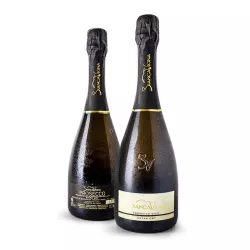 BiancaVigna Prosecco Extra Dry DOC 0,75l thumbnail-2