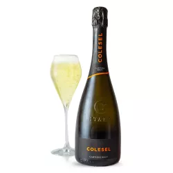 Colesel Valdobbiadene Superiore Di Cartizze Brut DOCG 0,75l thumbnail-2