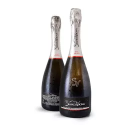 BiancaVigna Conegliano Valdobbiadene Prosecco Rive di Soligo Millesimato Extra Brut DOCG 0,75l thumbnail-2