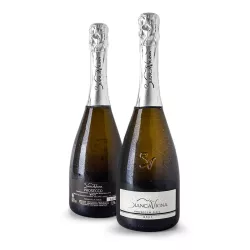 BiancaVigna Prosecco Brut DOC 0,75l thumbnail-2