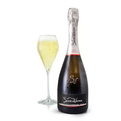 BiancaVigna Conegliano Valdobbiadene Prosecco Rive di Soligo Millesimato Extra Brut DOCG 0,75l thumbnail-3