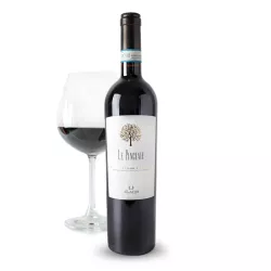 Ilauri Le Pinciaie Montepulciano D'abruzzo DOC 0,75L thumbnail-3