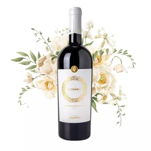 Tenutia Giustini Acinorè Primitivo di Manudria DOC 0,75l
