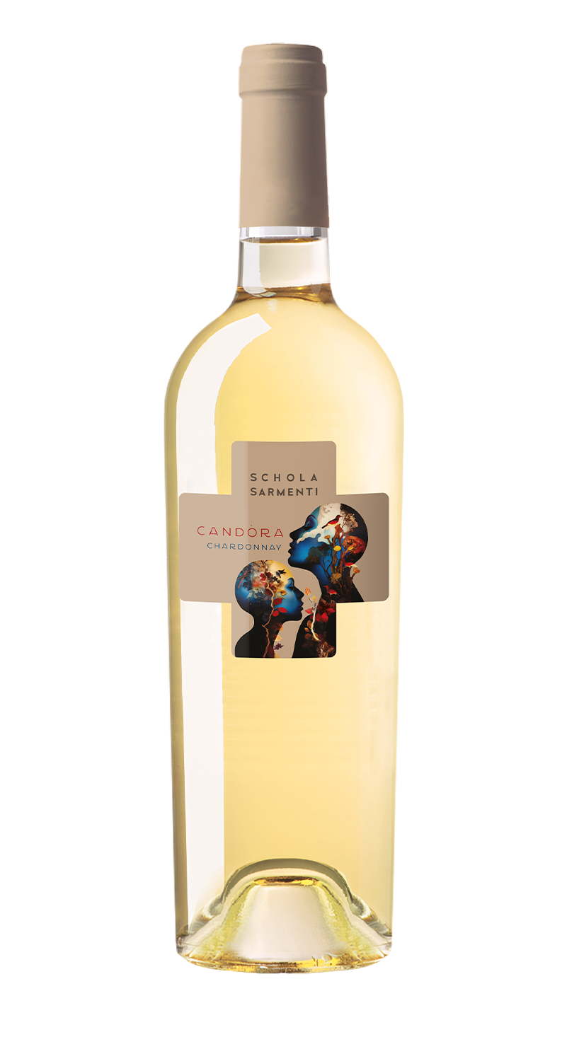 E-shop Schola Sarmenti Candóra Chardonnay Salento IGT 0,75l - 1ks