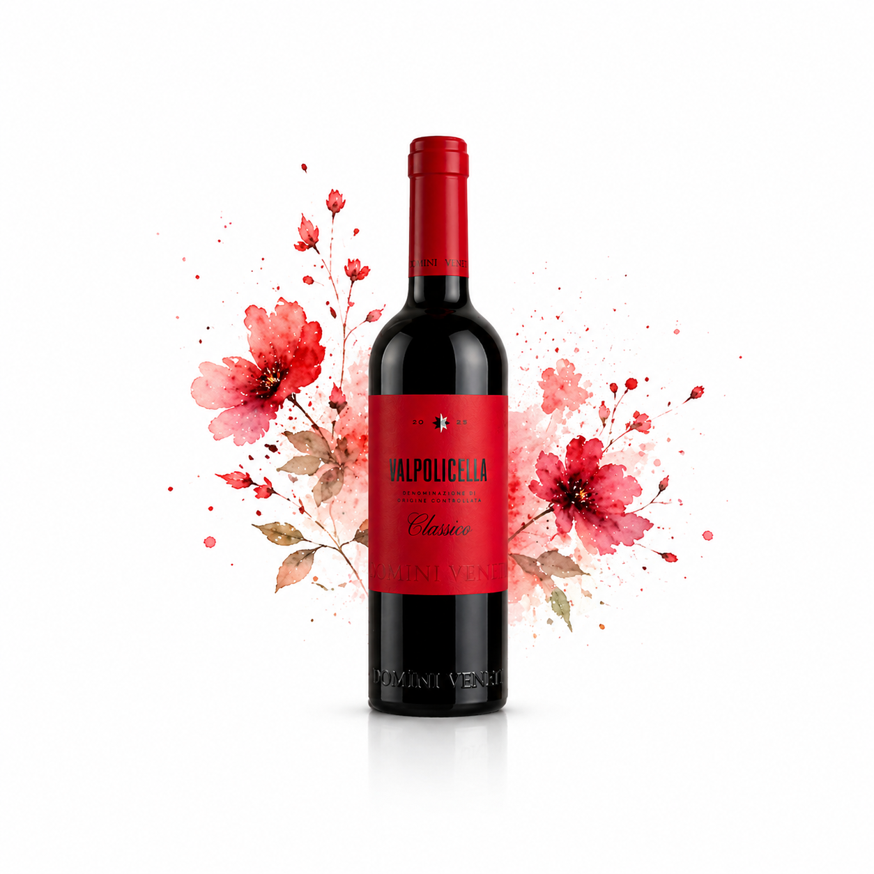 E-shop Domini Veneti Valpolicella Classico DOC 0,375l - 1ks